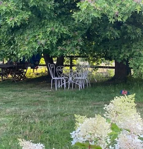 Maison De Charme Dans Un Ecrin De Verdure Et Calme Saint-Gâtien-des-Bois