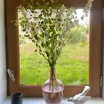 Maison De Charme Dans Un Ecrin De Verdure Et Calme